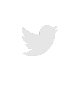 twitter icon